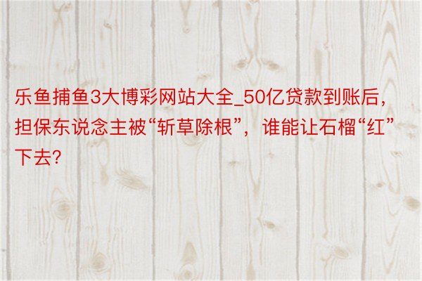 乐鱼捕鱼3大博彩网站大全_50亿贷款到账后，担保东说念主被“斩草除根”，谁能让石榴“红”下去？