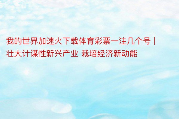 我的世界加速火下载体育彩票一注几个号 | 壮大计谋性新兴产业 栽培经济新动能