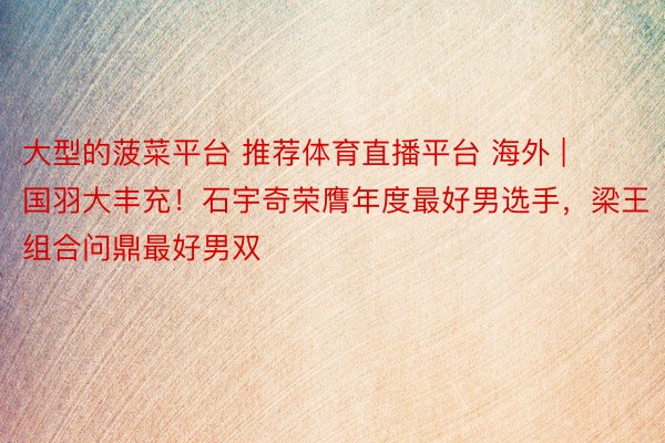 大型的菠菜平台 推荐体育直播平台 海外 | 国羽大丰充！石宇奇荣膺年度最好男选手，梁王组合问鼎最好男双